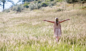 Devon in a field