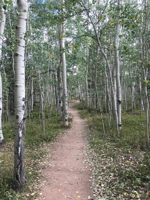 View of the adventure on Kenosha Pass