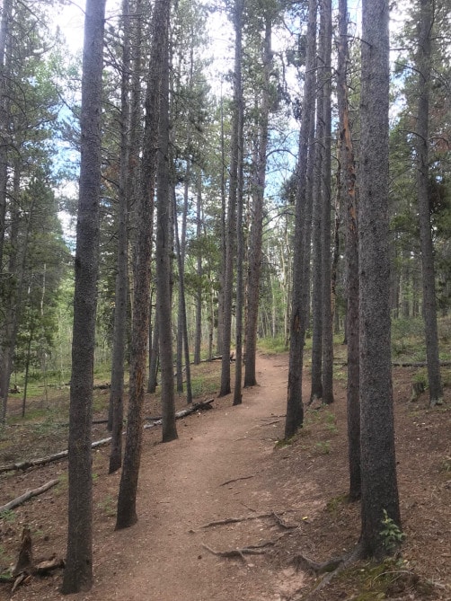Adventure on Kenosha Pass